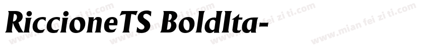 RiccioneTS BoldIta字体转换